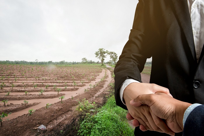 Conveyancing Real Estate Services