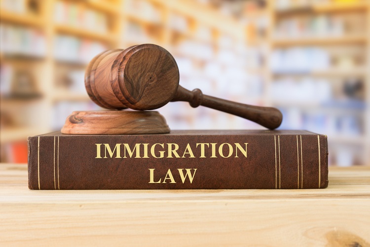 Immigration Legal Support
