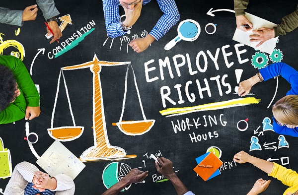 Strategic Employment Law Counsel